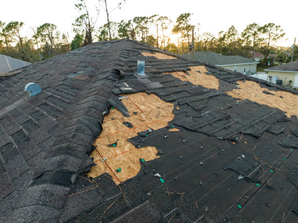 Best Roof Maintenance and Cleaning  in Gray, TN
